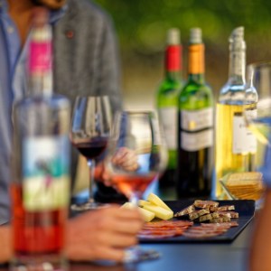 Winemaker's Picnic & Visit Experience