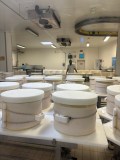 Parmigiano Reggiano D.O.P Factory Experience