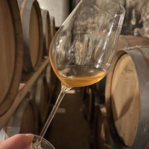 Alsace Wine Workshop