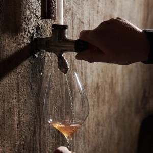 Alsace Wine Workshop