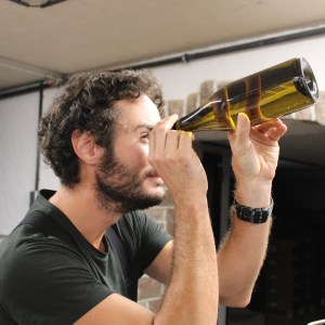 Alsace Wine Workshop