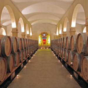 Provence Immersive Wine Experience