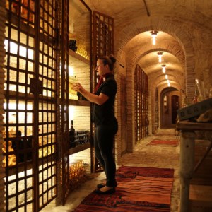 Provence Immersive Wine Experience