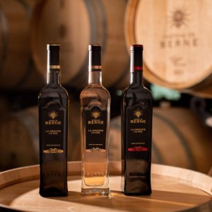 Provence Immersive Wine Experience