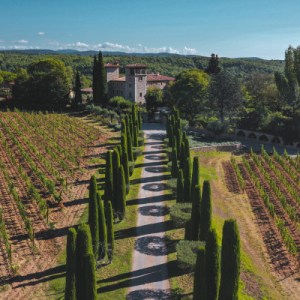 Provence Immersive Wine Experience