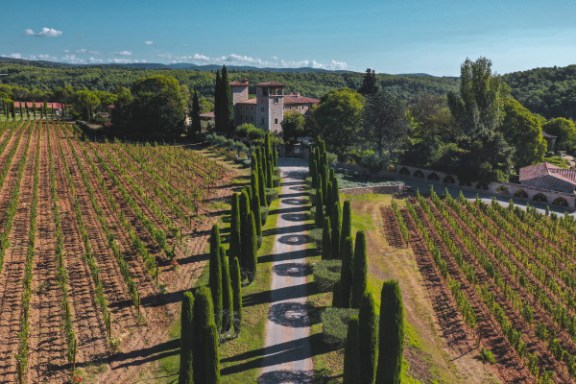 Provence Immersive Wine Experience