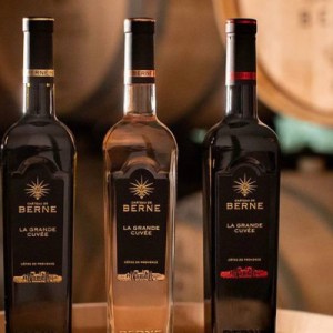 Provence Immersive Wine Experience