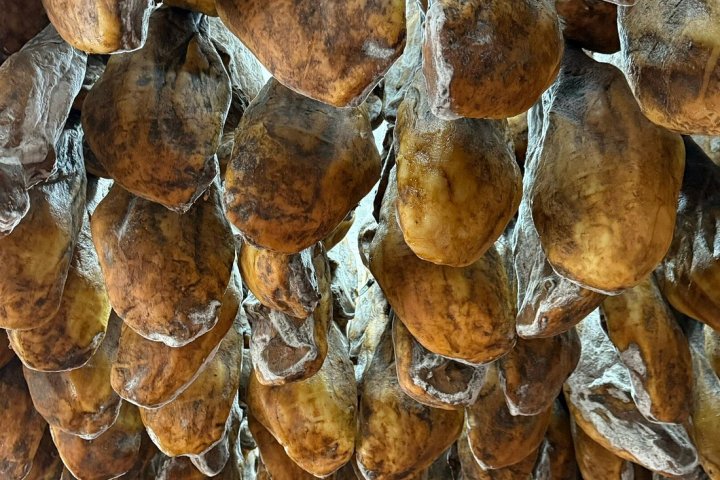 Route of Jabugo Iberian Pig Experience