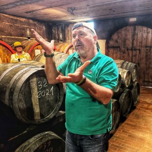 Tuscany Wine Tasting Experience