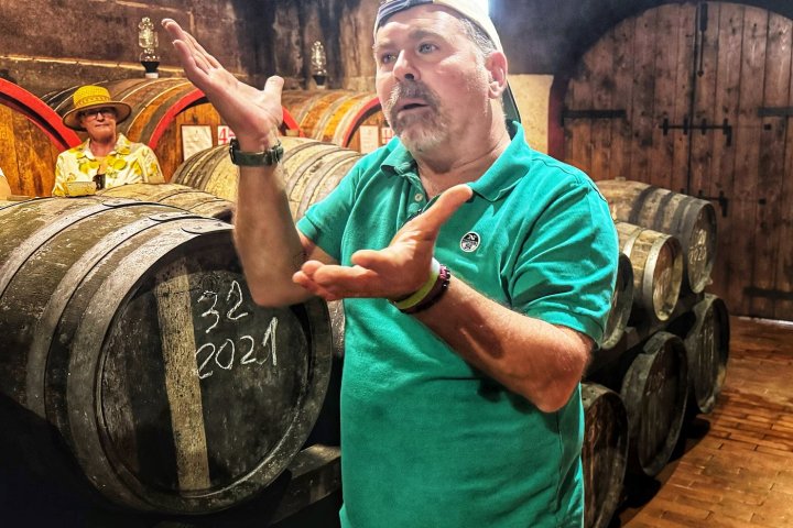 Tuscany Wine Tasting Experience