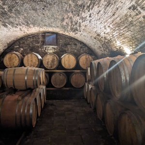Tuscany Wine Tasting Experience