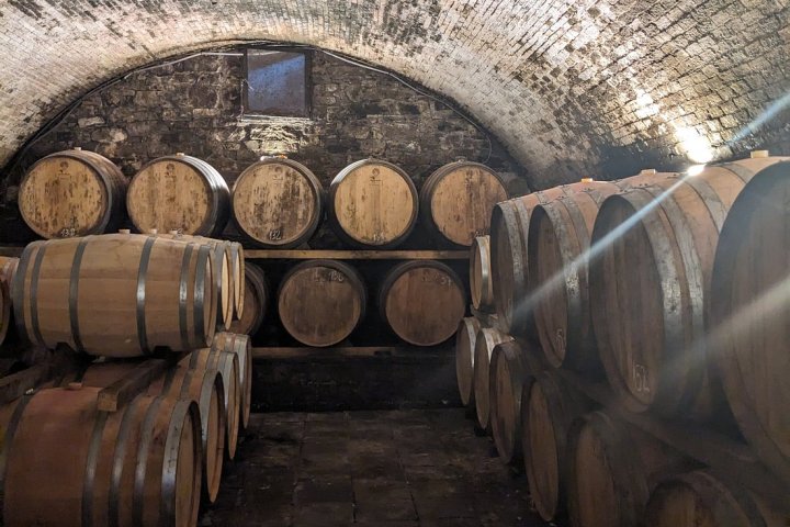 Tuscany Wine Tasting Experience