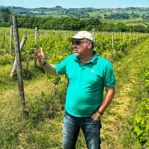 Tuscany Wine Tasting Experience