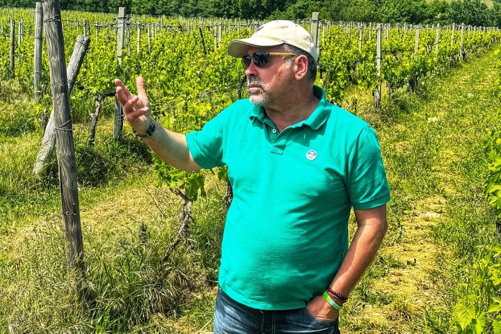 Tuscany Wine Tasting Experience