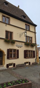 Alsace Wine & Terroir Experience