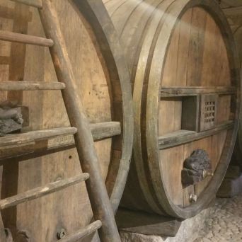 Alsace Wine & Terroir Experience