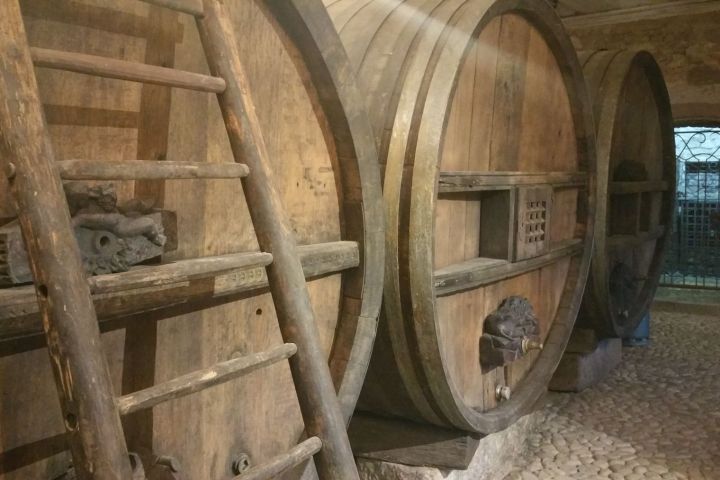 Alsace Wine & Terroir Experience