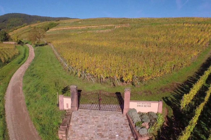 Alsace Wine & Terroir Experience