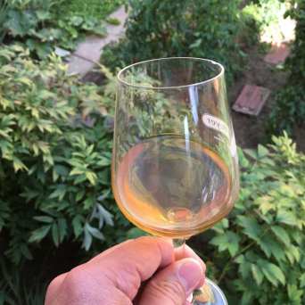 Alsace Wine & Terroir Experience