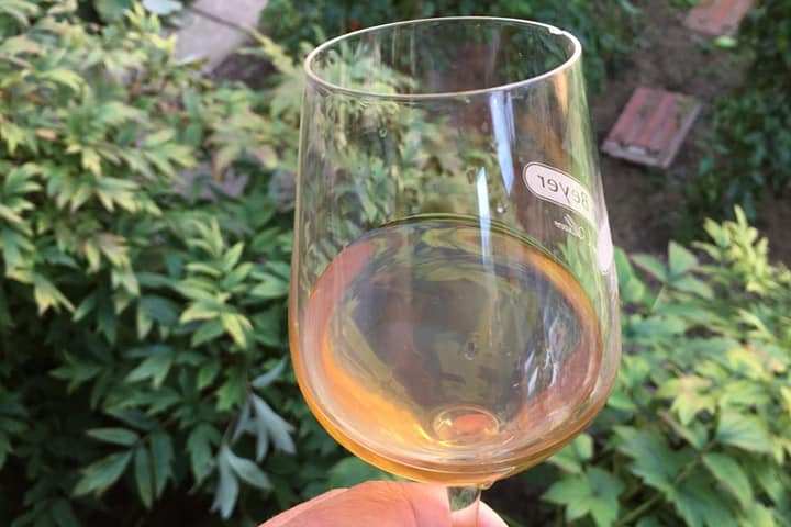 Alsace Wine & Terroir Experience