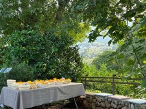 Oranges & Lemons of Soller Experience