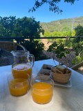 Oranges & Lemons of Soller Experience