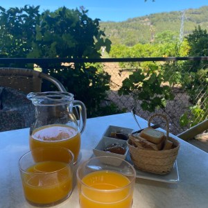 Oranges & Lemons of Soller Experience