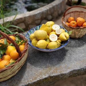Oranges & Lemons of Soller Experience