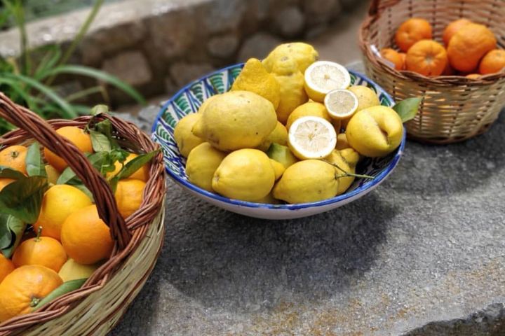 Oranges & Lemons of Soller Experience