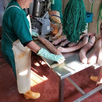 Route of Jabugo Iberian Pig Experience