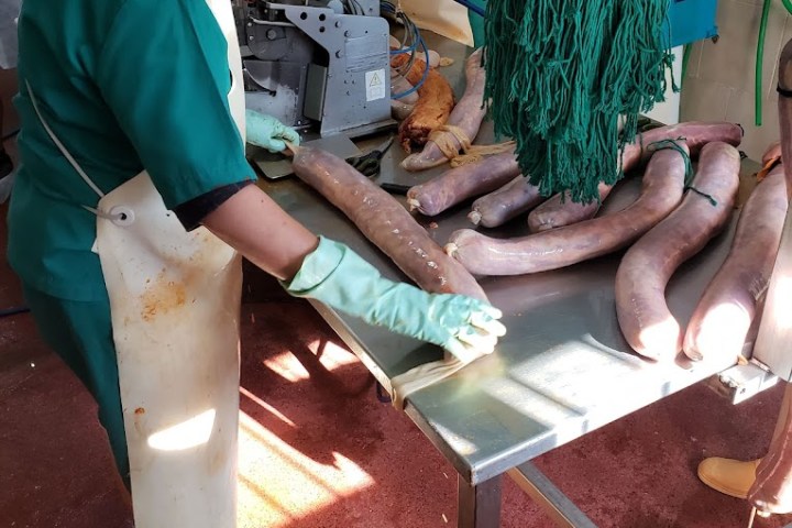 Route of Jabugo Iberian Pig Experience