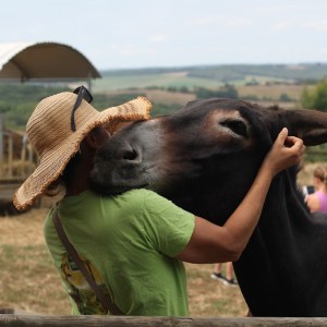Farm Life Discovery Experience