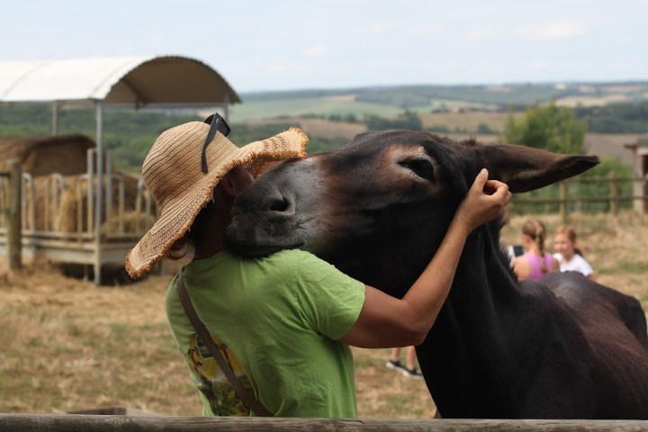 Farm Life Discovery Experience