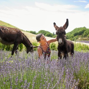 Farm Life Discovery Experience