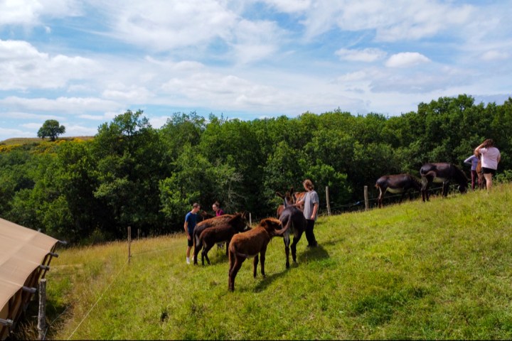 Farm Life Discovery Experience