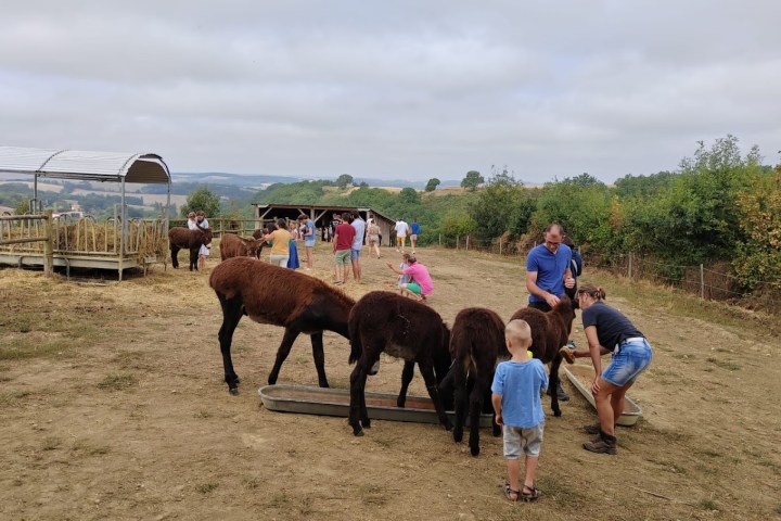 Farm Life Discovery Experience
