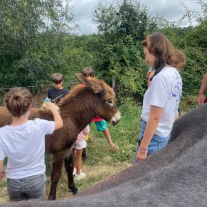 Farm Life Discovery Experience