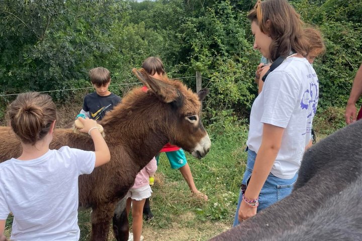 Farm Life Discovery Experience