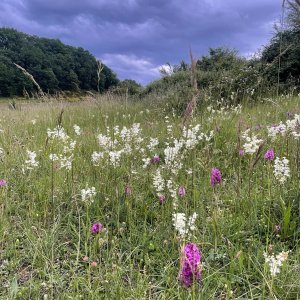Farm Life Discovery Experience