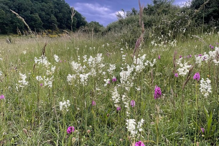 Farm Life Discovery Experience