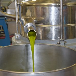 Olive Oil Experience & Paired Food Tasting