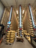 Parmigiano Reggiano D.O.P Factory Experience