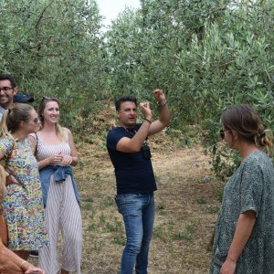 Olive Oil Experience & Paired Food Tasting
