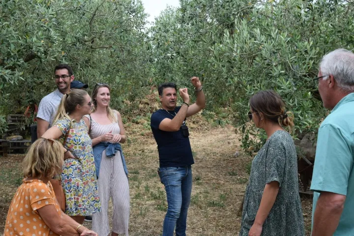 Olive Oil Experience & Paired Food Tasting