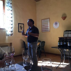 Tuscany Wine Tasting Experience
