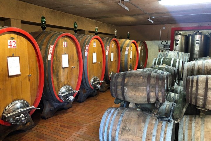 Tuscany Wine Tasting Experience