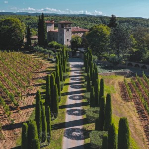 provence special wine tasting