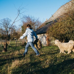 Chaussy Goat and Sheep Experience