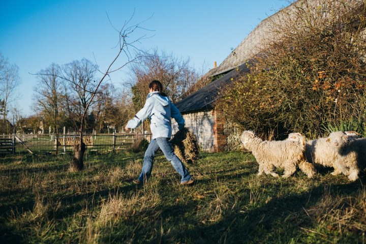 Chaussy Goat and Sheep Experience