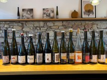 Discovery & Tasting Alsace Wine